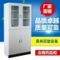 加工定制实验室**全钢药品 耐酸碱腐蚀试剂PP柜化学化工药品柜