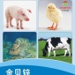 动物补锌 天然蛋氨酸锌 营养增补强化剂 矿物质飼料添加劑